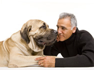 Visit Mankind Dog!